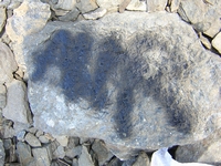 colle delle finestre 2005 1 52